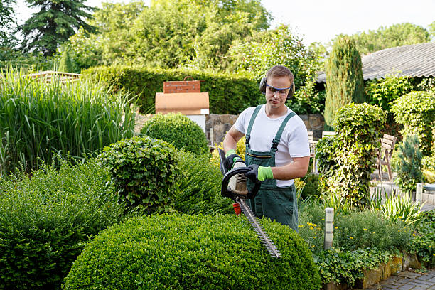 Best Tree and Shrub Care  in Mountville, PA